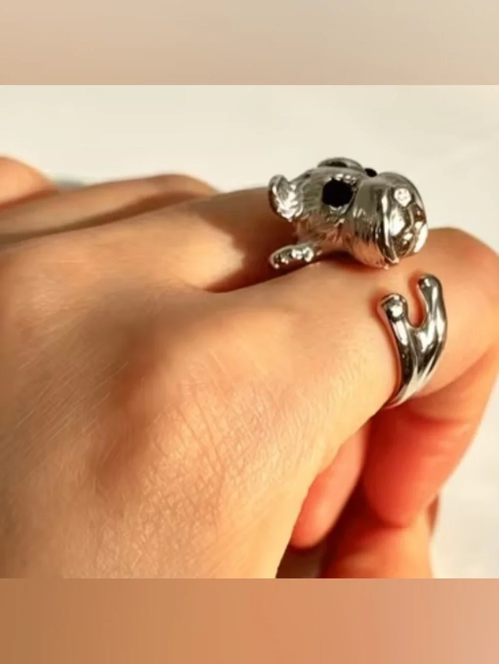 Schnauzer Dog Ring